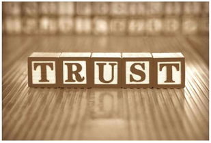 離岸資產(chǎn)規(guī)劃入門 巧用信托保護(hù)您的美國房產(chǎn) 李娟房地產(chǎn)經(jīng)紀(jì)